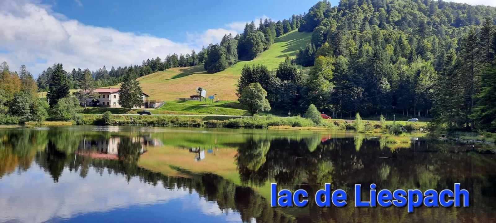 Gite Au Petit Verger Masevaux-Niederbruck Exterior foto