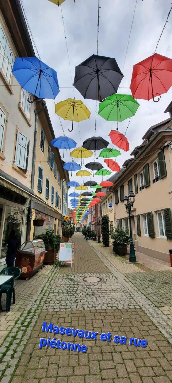 Gite Au Petit Verger Masevaux-Niederbruck Exterior foto